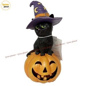 Candy Corn Lane 12" Halloween Black Cat Kitten With Witches Hat Light Up - NEW
